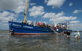 Boot huren Harlingen. Motorboot Mps Regina-Andrea