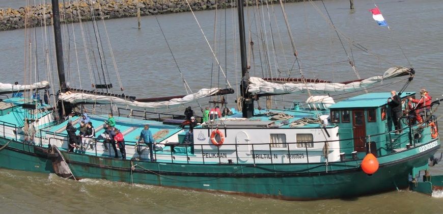 zeilboot harlingen pelikaan