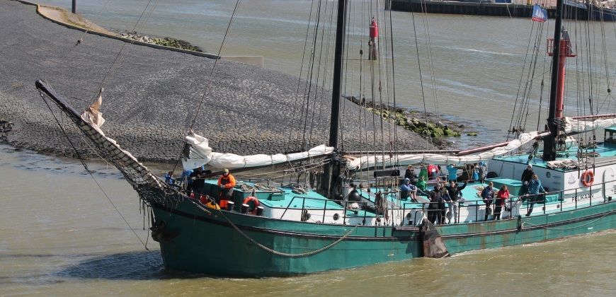 zeilboot harlingen pelikaan